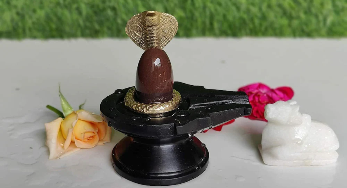 Pashupatinath Vrat Mein Puja Vidhi